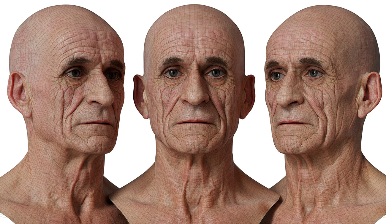 head model wireframe mesh